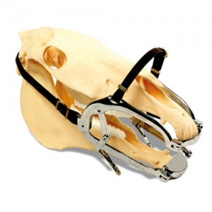 ABREBOCAS MILLENIUM C/PLATINAS CALIDAD EXTRA