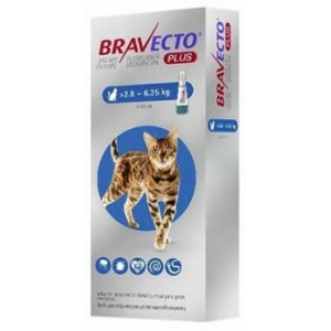 BRAVECTO PLUS 250 MG (2,8-6,25KG) SPOT ON GATO