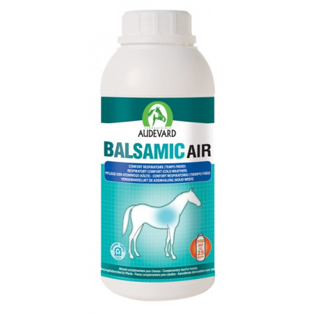 BALSAMIC AIR 500ML - Equinvest