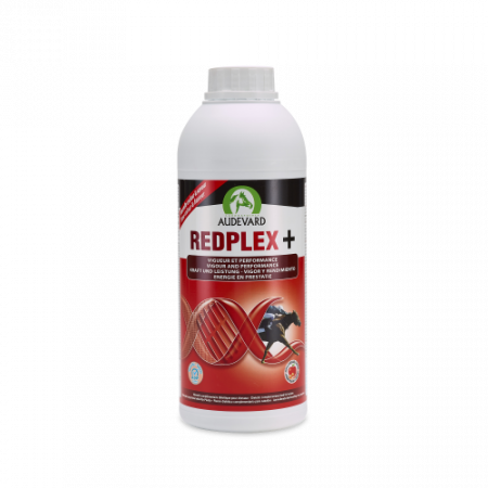 REDPLEX 1L - Equinvest