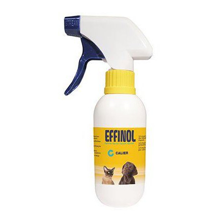 EFFINOL 2.5MG/ML 500ML - Equinvest