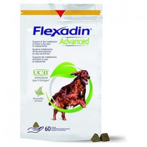FLEXADIN ADVANCE 60 COMP.MASTICABLE