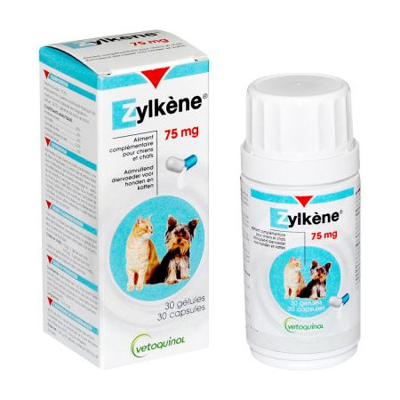 ZYLKENE 450MG 30 COMP.