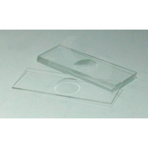 PORTA OBJETOS CANTOS NO PULIDOS 50 UD. - Equinvest