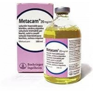 METACAM 20MG/ML 100 ML INY. EQUINOS - Equinvest