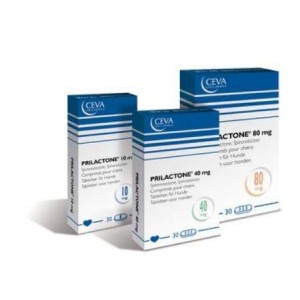 PRILACTONE NEXT 40MG/30COMP. - Equinvest