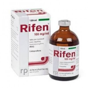 RIFEN 100ML (KETOPROFENO) - Equinvest