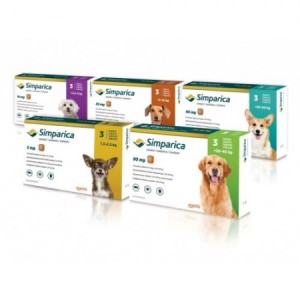 SIMPARICA 10MG 3 TAB (2,5/5KG) - Equinvest