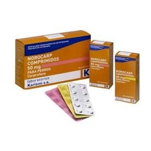 NOROCLAV 250MG 50 COMP - Equinvest