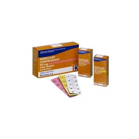 NOROCLAV 250MG 50 COMP - Equinvest