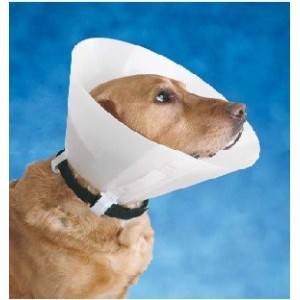 ZZ COLLAR ISABELINO BUSTER CLASSIC N25(10UD)OPAC.RETIRADO EQ