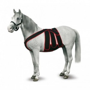 FAJA COMPLETA POS-OPERAT.CABALLO T-M ROJA - Equinvest