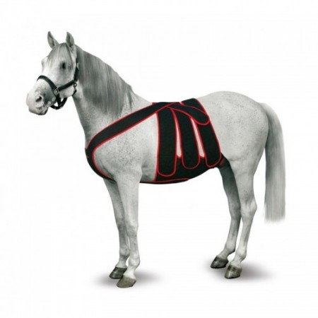 FAJA COMPLETA POS-OPERAT.CABALLO T-P AMARILLO - Equinvest