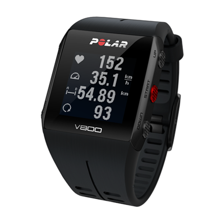 PULSOMETRO POLAR EQUINE V800BLK - Equinvest