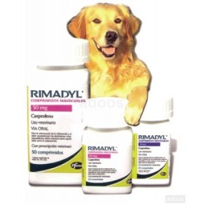 RIMADYL PAL 100MG.20COMP. (MASTICABLE) - Equinvest