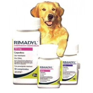 RIMADYL PAL 20MG.20COMP. (MASTICABLE) - Equinvest