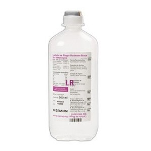 Solução de Lactato de Ringer 1L - Equinvest