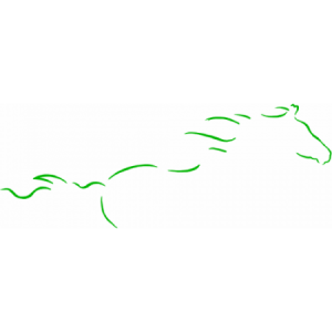 CHASIS+PANTALLA TIERRAS RARAS VERD 18X24