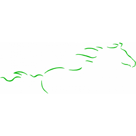 PANTALLA TIERRAS RARAS 24X30CM. - Equinvest