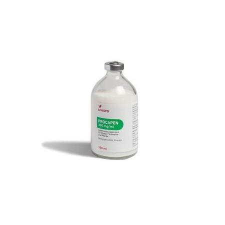 PROCAPEN 300MG/ML 100ML INY.* - Equinvest
