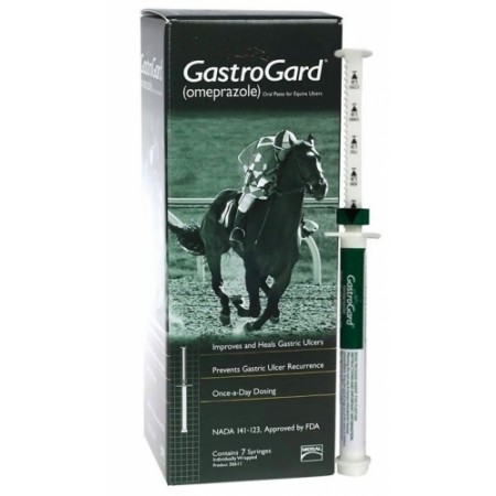 GASTROGARD JERINGA FRM 1UD - Equinvest