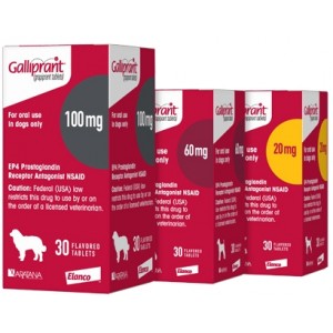 GALLIPRANT 100MG. 30COMP. - Equinvest